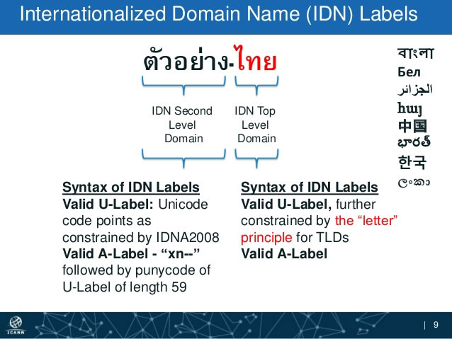 The risks associated with global Internationalized Domain Names